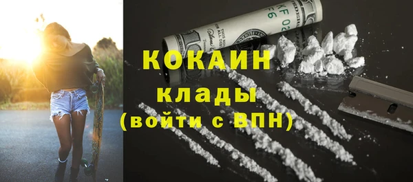 шишки Вязьма