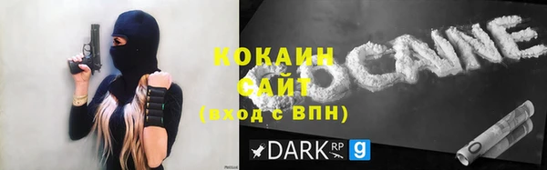 шишки Вязьма