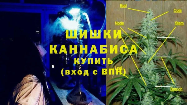 шишки Вязьма