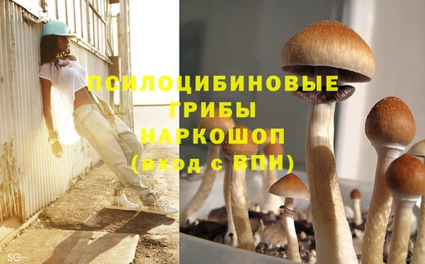 твердый Володарск