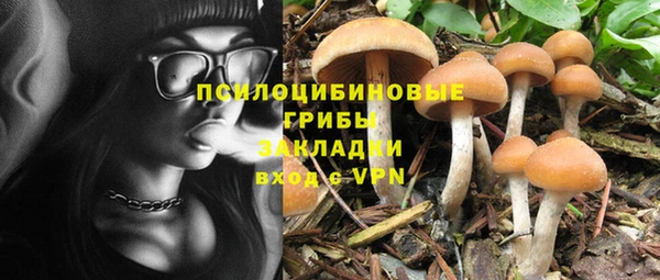 твердый Володарск