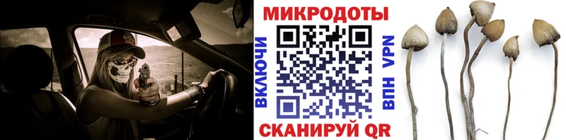 Псилоцибиновые грибы Psilocybe  МЕГА как зайти  Севастополь 